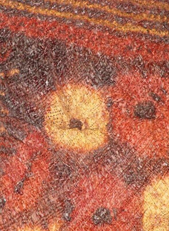 A06-7097 