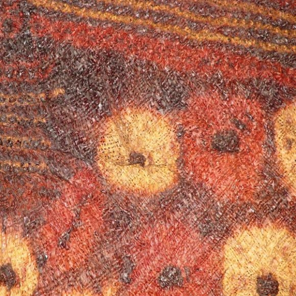 A06-7097 